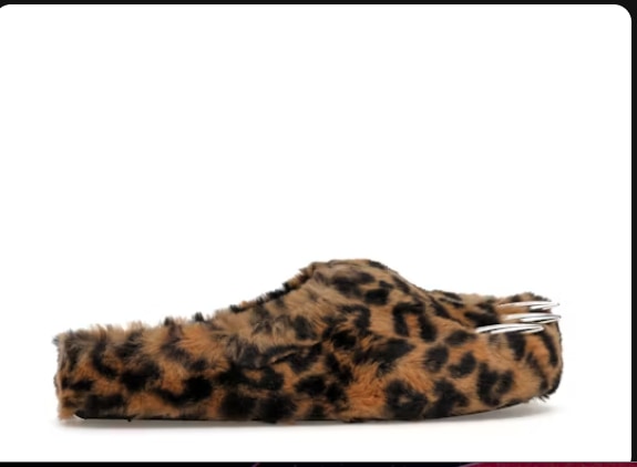leopard bear claw